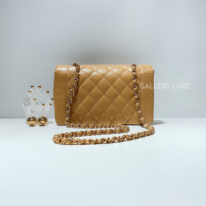 No.2320-Chanel Vintage Caviar Diana Bag 25cm